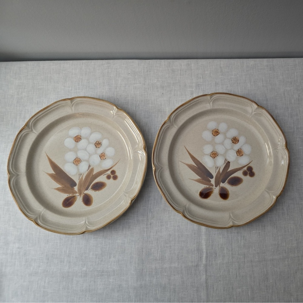 Hearthside Classics Hand Painted Stoneware Castlewood Japan Dinner Plates (2)MCM